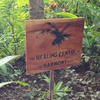 Healing Center at the Harmony Hotel.  Yoga classes, massage, cafe, juice bar.  Hotel guests receive 2 yoga class vouchers ranging from easy stretching to advanced level.  Free surf board use also provided for hotel guests. at Juice Bar at the Harmony Hotel in Nosara