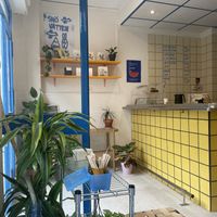 El café  at antirush | speciality coffee in Malaga