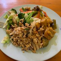 Rice + 4 condiments (broccoli, mushrooms, pumpkin curry and tofu larb) at Sangwiroon Vegetarian in Chiang Mai