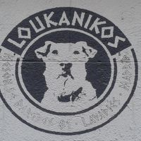 Loukanikos at Loukanikos in Madrid