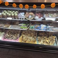 Mushroom galore  at Simbiosis - Alianzas de Mutuo Beneficio in Guanajuato