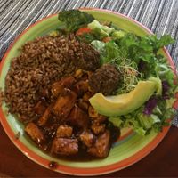 Brown rice, bbq tofu, lentil balls and salad! at Ital in Paradise in St Croix
