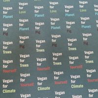 Vegan for love  at Gintilla in Cagliari