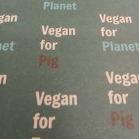 Love this vegan promotion! Eating somewhere like this just makes you relax knowing you can have everything on the menu, no worries! at Gintilla in Cagliari