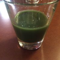 Ancient Healer potion at Candle 79 in New York City