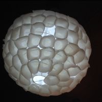 Cupcake lampshades  at Daniela Bakery in Barcelona