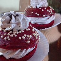 Baked donuts with cream at Daniela Bakery in Barcelona