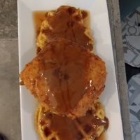  at The Vegetable Hunter Cafe and Boutique Brewery in Harrisburg