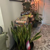   at The Vegetable Hunter Cafe and Boutique Brewery in Harrisburg