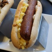  at The Vegetable Hunter Cafe and Boutique Brewery in Harrisburg