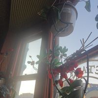 nice ambiance at The Vegetable Hunter Cafe and Boutique Brewery in Harrisburg