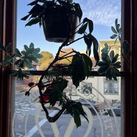   at The Vegetable Hunter Cafe and Boutique Brewery in Harrisburg