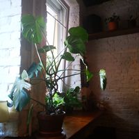 Nice interior tuch at Moksha in Kaunas