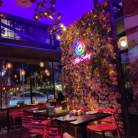 Modern atmosphere at New Thai Elephant in San Mateo