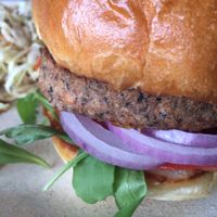Veggie Burger with Slaw  at OTB Delight Cafe in Wesley Chapel