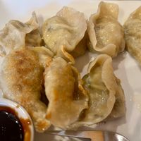Veggie fried dumplings  at Casa Cafe in Belmopan
