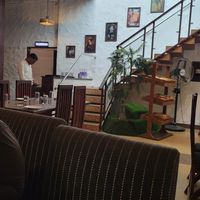  at 2nd Wife (Fine Dining And Rooftop) in Agra