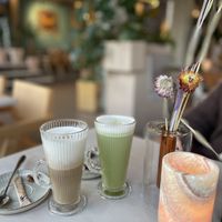   at Copper Branch in Haarlem