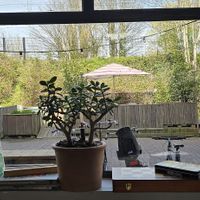  at Copper Branch in Haarlem