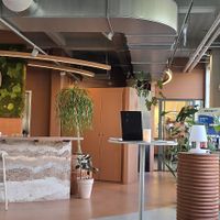  at Copper Branch in Haarlem