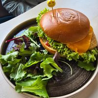  at Copper Branch in Haarlem