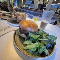   at Copper Branch in Haarlem