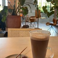   at Copper Branch in Haarlem