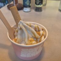  at Copper Branch in Haarlem