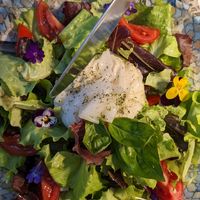 Burrata at Moon in Siracusa