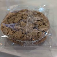 Oat cream pie at Foxtail Coffee - Wildlight in Yulee