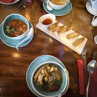 Vorspeisen: Lotus Suppe, Kürbis Suppe, Tofu in Tomatensoße und gebackene Wantan   at Vegan Garden Friedrichshain in Berlin