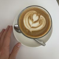   at Bird Coffee Lab in Seoul