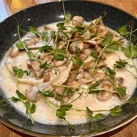 Wareniki mit Pilzen at Pivbar - Braunschweig in Braunschweig