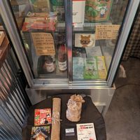  at Jungle Pimfy - 동물책방 정글핌피 in Seoul
