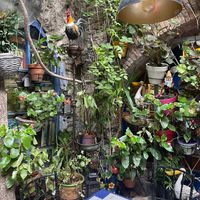 Garden   at El Barroco in Cadaques