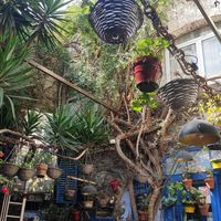  at El Barroco in Cadaques