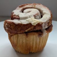 Brioche Cinnamon Roll at Catscratch Co-op in Portland