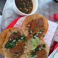 Mushroom birria tacos at Radio Taco in Chippendale