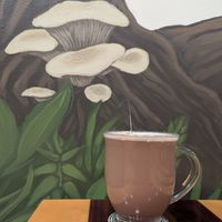 Daily Dust at The Dusted Cup in Portland