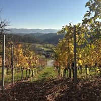 View  at Buschenschank Kremser Keller in Gleinstaetten