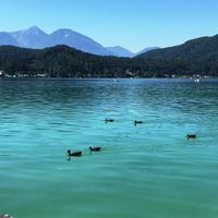 Loving Hut Klopeiner See at Loving Hut Pension in St Kanzian