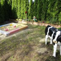 Photos from our stay at the Loving Hut Hotel in Austria, August 2014. at Loving Hut Pension in St Kanzian