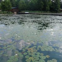 Lake Klopein at Loving Hut Pension in St Kanzian