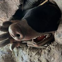 Mole hole  at Centre for Alternative Technology Cafe in Machynlleth