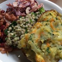 Stuffed potatoes and salad at Centre for Alternative Technology Cafe in Machynlleth