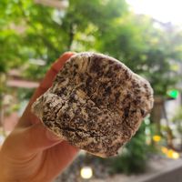  at I'm donut? • Gluten Free Vegan Donuts in Tokyo