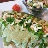 Green paradise at Vege Miasto in Warsaw