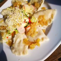 homemade pierogi's - a mixed plate at Vege Miasto in Warsaw