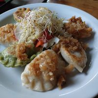  at Vege Miasto in Warsaw