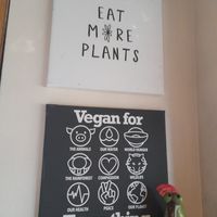  at Vege Miasto in Warsaw